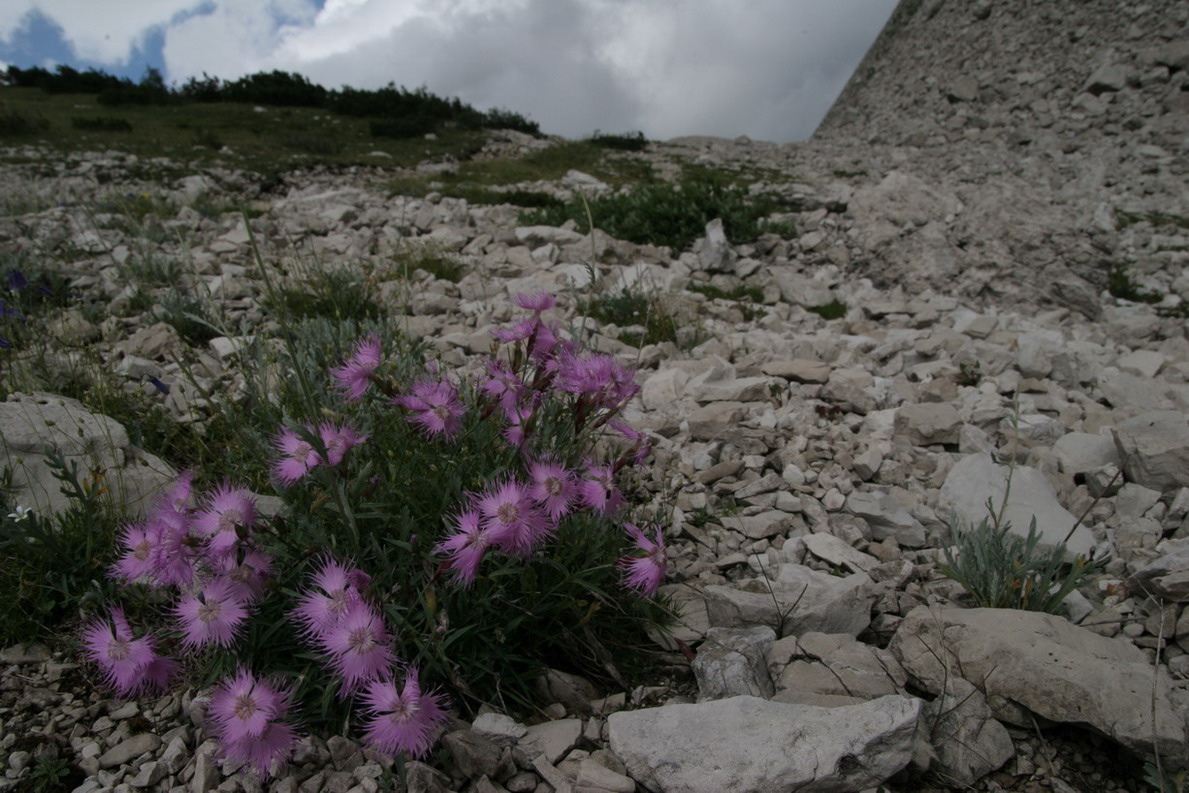 3 giorni tra le dolomiti friulane